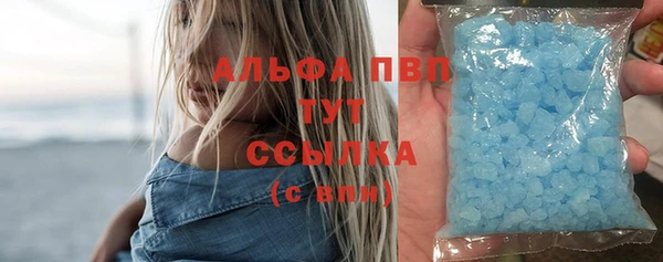 прущие грибы Абдулино