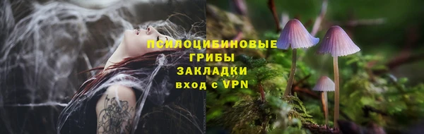 марихуана Абаза