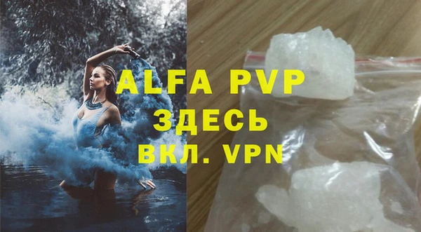 прущие грибы Абдулино