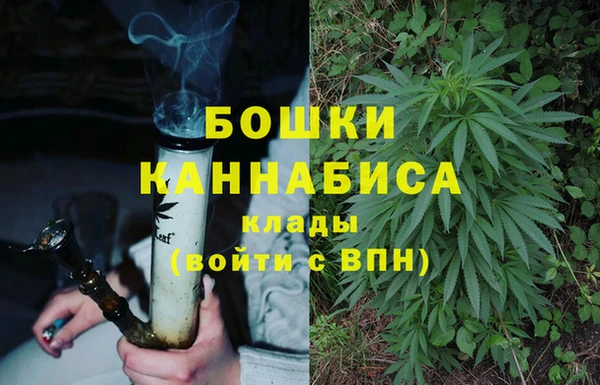 прущие грибы Абдулино