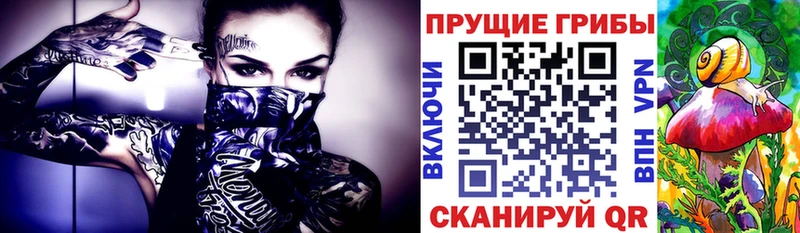 shop формула Александровск-Сахалинский Псилоцибиновые грибы GOLDEN TEACHER